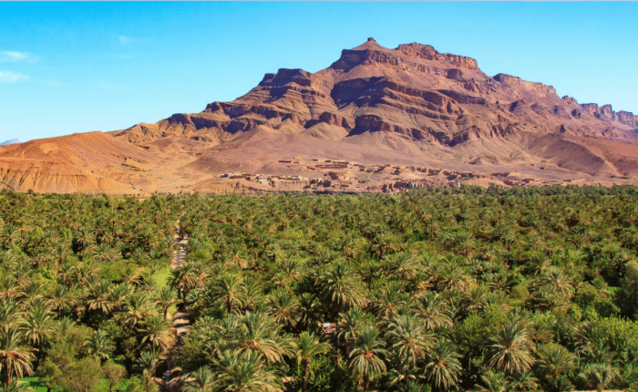 5 Days Desert Tour from Marrakech to Merzouga