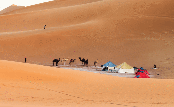 7 Days Trekking Desert Tour from Marrakech to Zagora