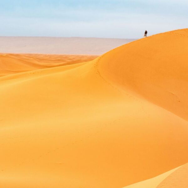BOOK 4 Days Desert Trips from Marrakech to Fes