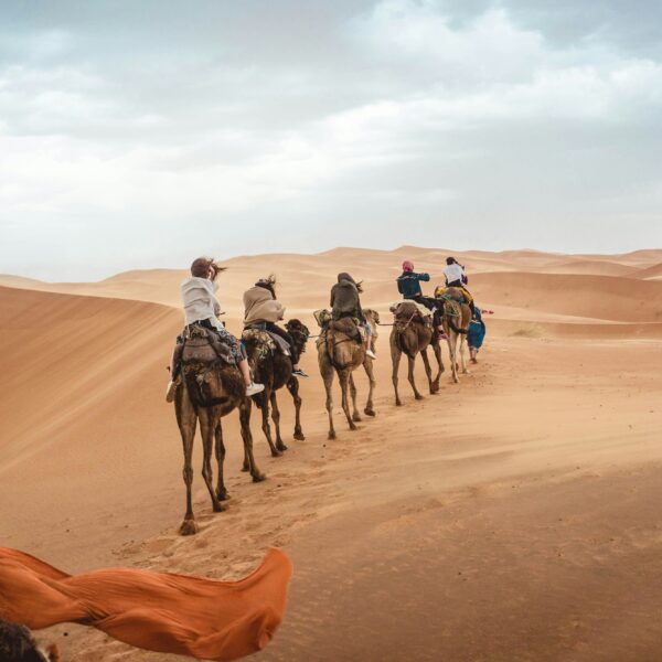 Marrakech to Fes Express Standard – 3 Day Trip